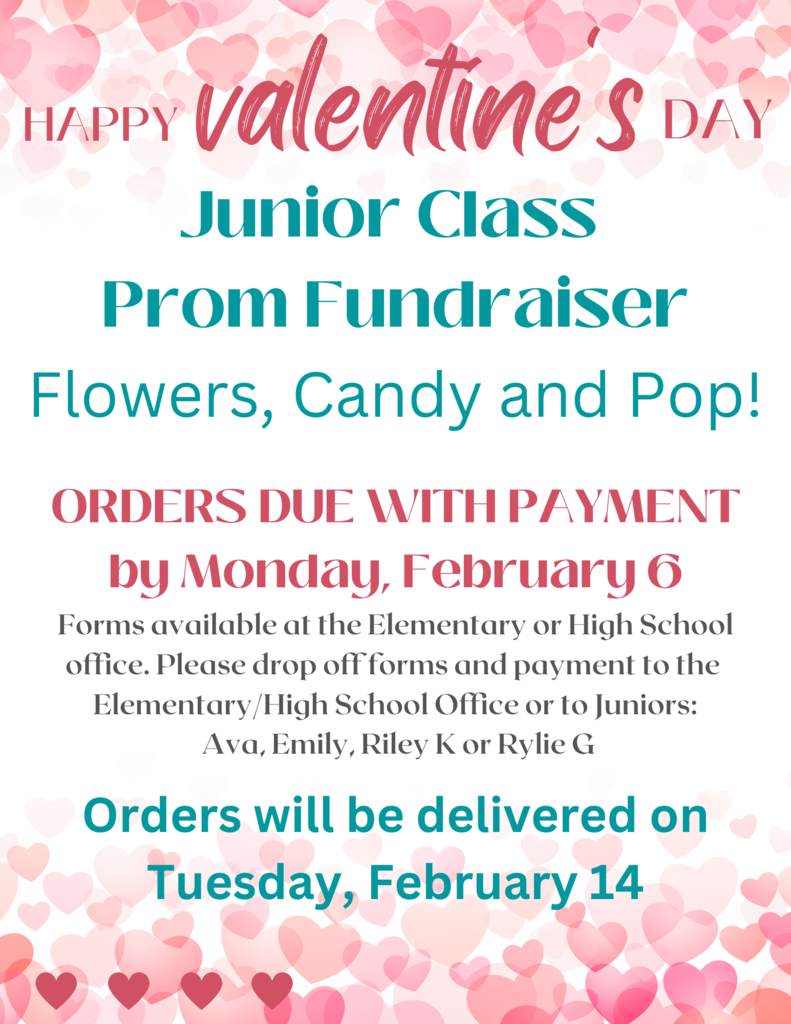 Valentine's Day Junior Class Fundraiser - Prom